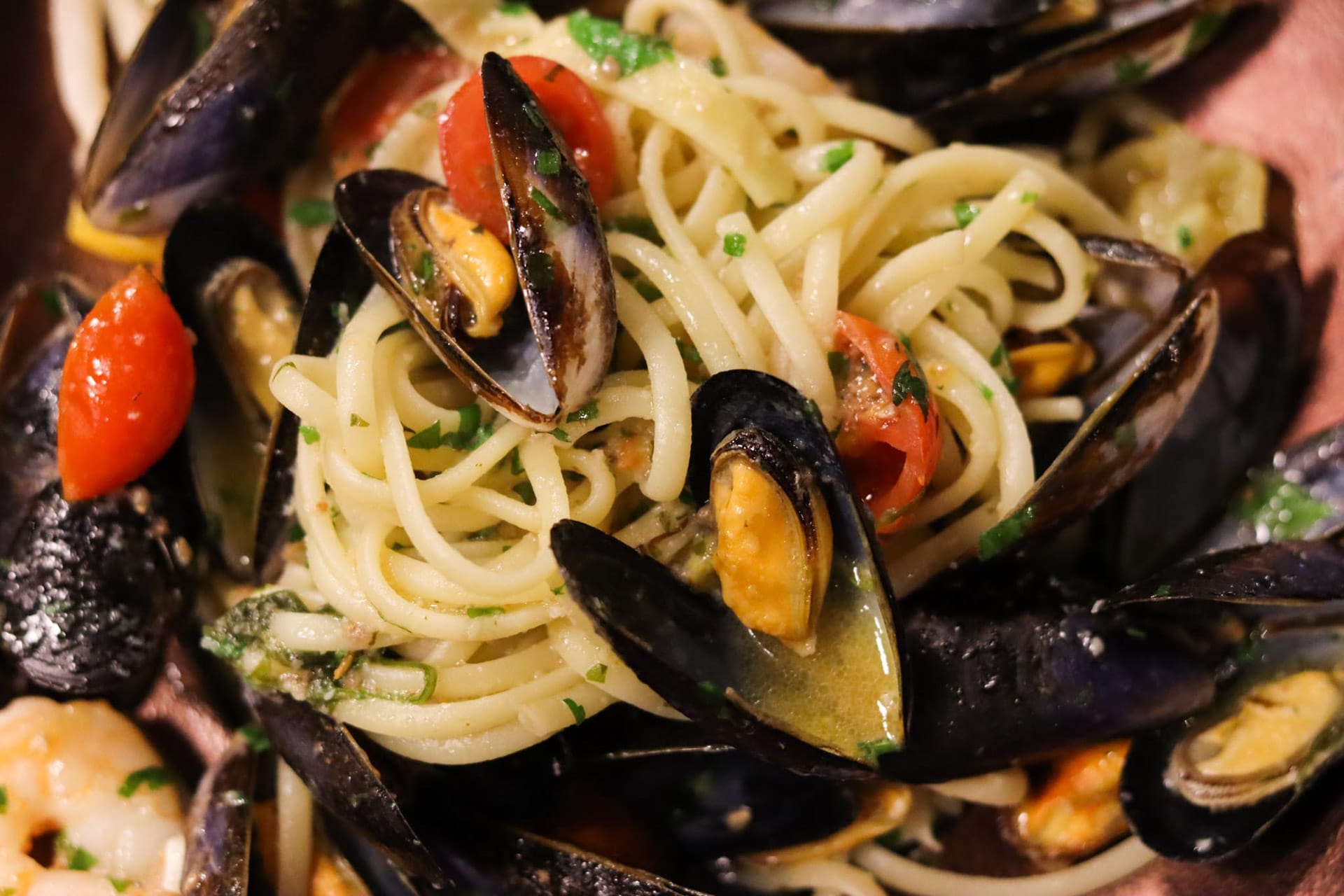 Terms & Conditions Ristorante di Napoli